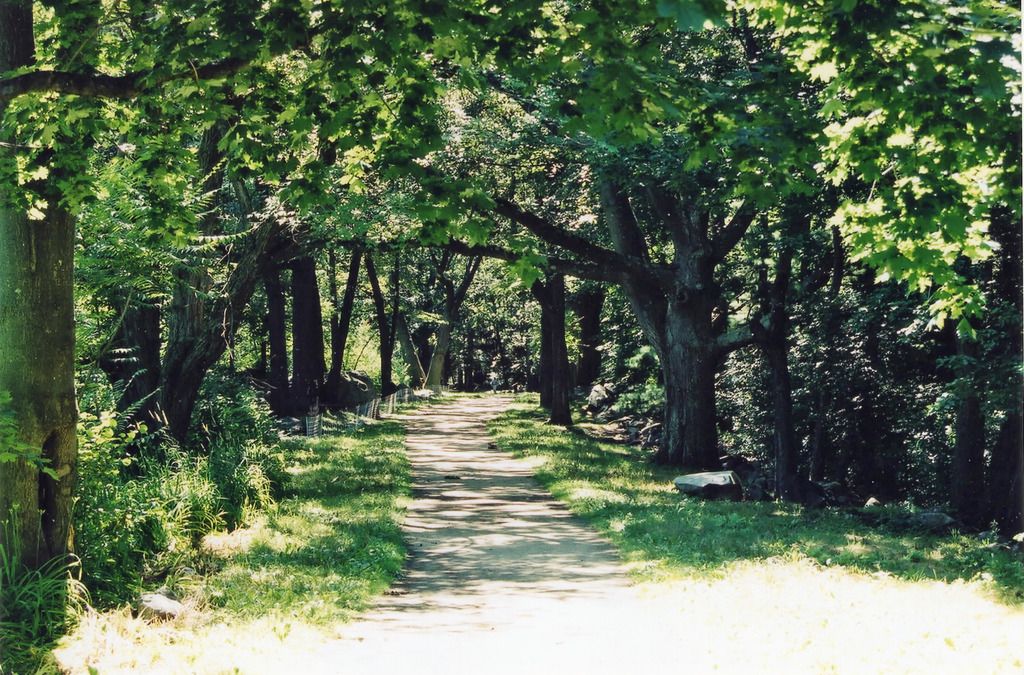 [Image: LAndK_zpsujiozqv7.jpg]