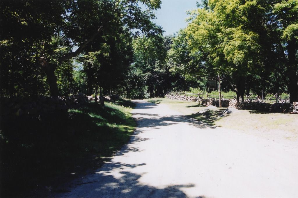 [Image: LK_Wall3_zpswziphzvj.jpg]