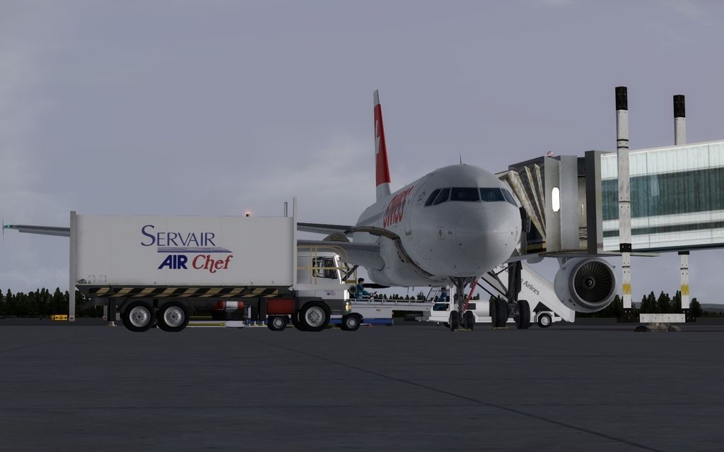 P3D_SWR_A319_3_zpsgqatoitp.jpg