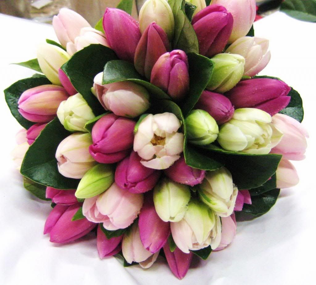 http://i1298.photobucket.com/albums/ag49/tsinionline/Flowers/wedding-flowers-tulips_zps30cfe899.jpg