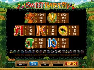 Sweet Harvest Slots Payout