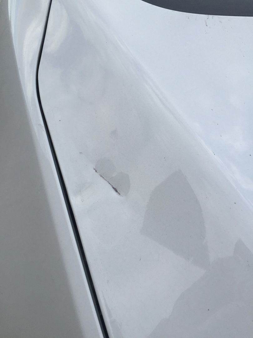 [Image: IMG_0693_zpsa3dryh8o.jpg~original]