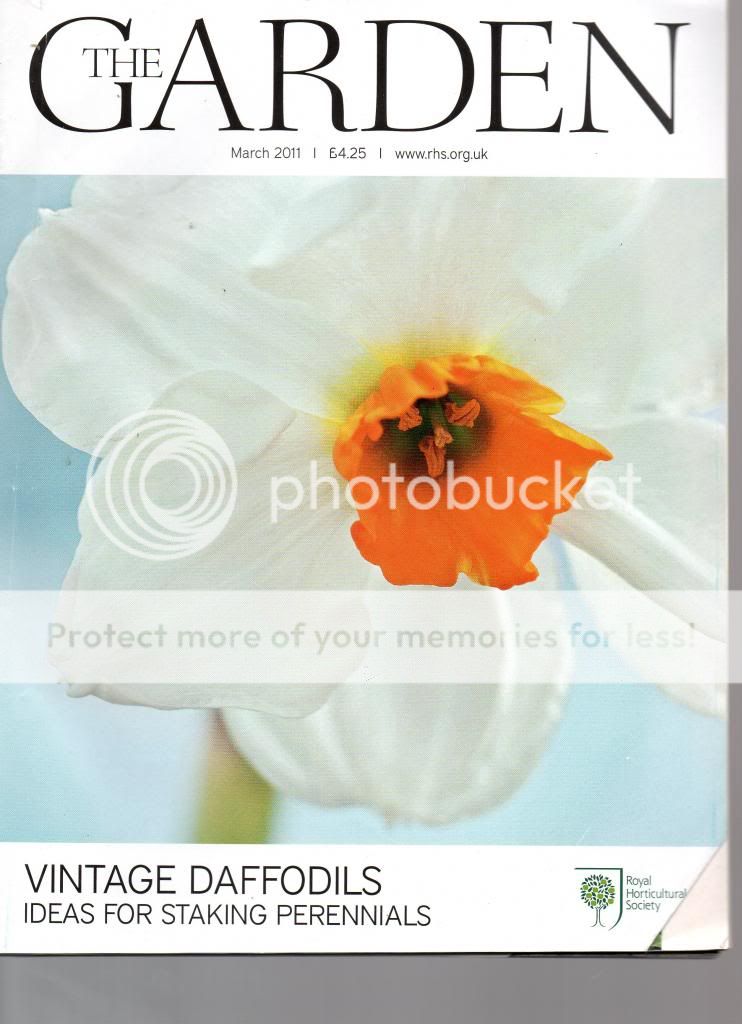 the garden magazine - march 11 - vintage daffodi