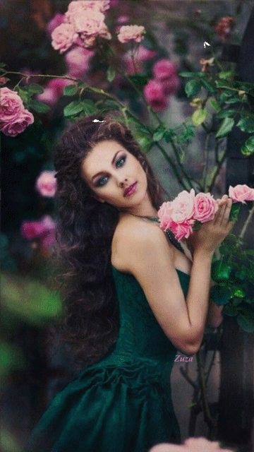 photo 1537bd238e_zpsbzyaibg5.gif